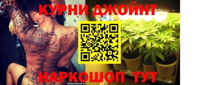 крисы Пыть-Ях