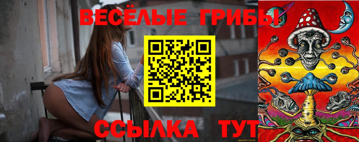Электросталь  Псилоцибиновые грибы Psilocybe  цена наркотик  Галлюциногенные грибы мицелий  Вход с VPN 