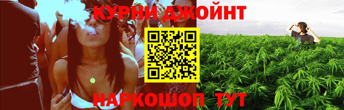 Бошки Шишки план Электросталь